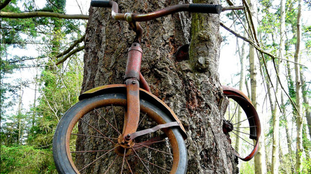 biketree