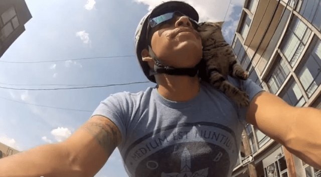 Screen Shot 2013-05-23 at 11.18.17 AM